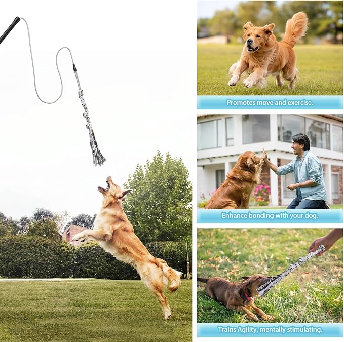 Flirt Pole for Small Medium Dogs,Interactive Chase and Tug of War Outdoor Dog Toys,Heavy Duty Dog Teaser Wand Chase Toys with Rope,Durable Flirt Stick Pole for Dogs Outside Agility Exercise & Training