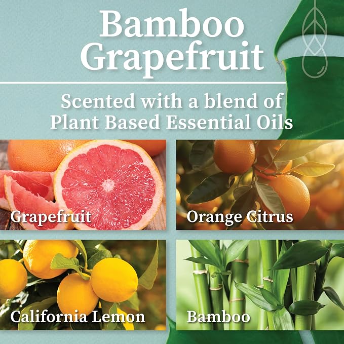 Hemlock Park Bamboo Grapefruit Apothecary Scented Candle | Crackling Wood Wick, Botanical Fragrance & Coconut Apricot Wax | Up to 80 Hour Burn Time | 16 oz | Made in USA