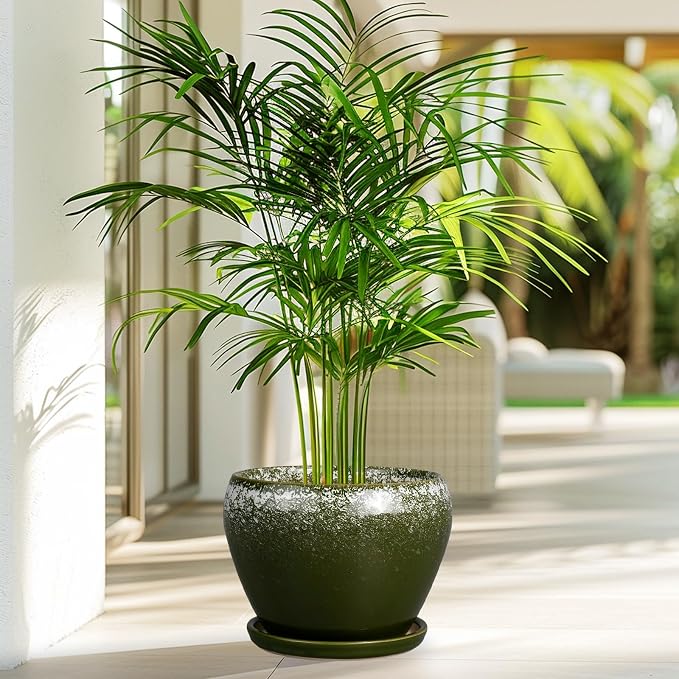 Ceramicfor 8 Inch Plant Pot - Ceramic Planter with Drainage Hole and Saucer, Modern Flower Pot for Glazed Indoor Plants Outdoor, Dark Green