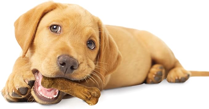 Nylabone Healthy Edibles Puppy Dog Treats, 4 Count | Turkey & sweet potato flavor, natural puppy treats, USA made, highly digestible, small dog treats for puppies up to 15 lbs