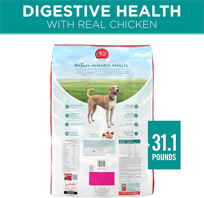 Purina ONE Plus Digestive Health Dry Dog Food, Chicken, 31.1 lb Bag | High protein dog food with probiotics for digestive support, made for adult dogs with sensitive stomachs
