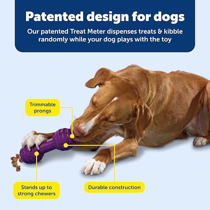 PetSafe Busy Buddy Chuckle Sound Dog Chew Toy - Treat Dispenser, BB-CHK, Purple