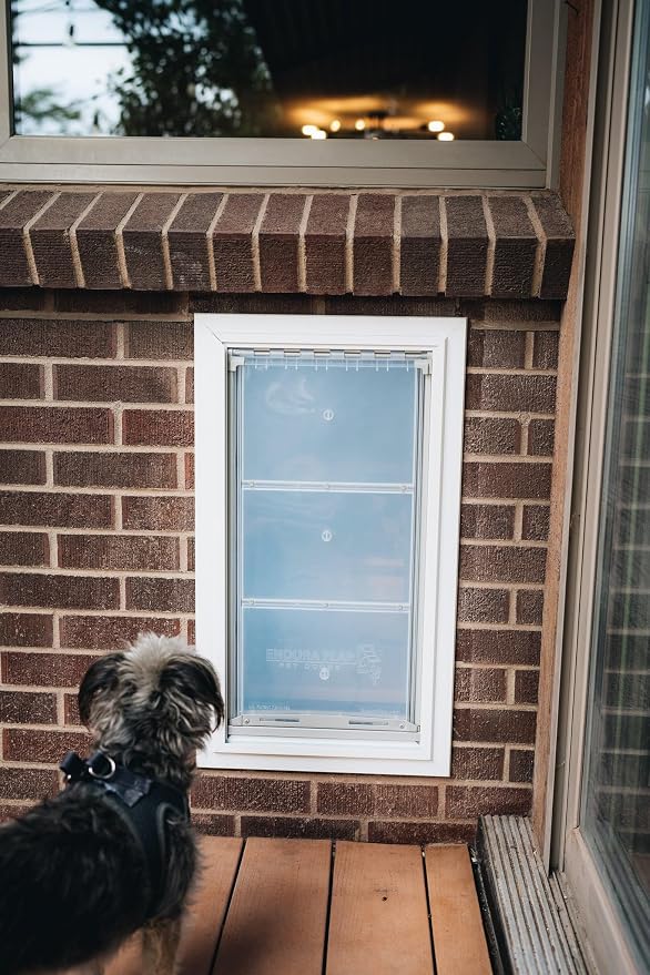 Endura Flap Single Flap Pet Door for Thick Walls | Deep Wall Design up to 13" Thick | Insulating Dual-Layer Flap & Durable Aluminum Frame | Includes Locking Cover | Black, Medium, Single Flap