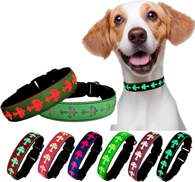 Light Up Glow Dog Collar with Chinese Style AirTag Holder
