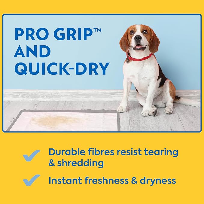 OUT! PetCare XXL Puppy Pads, Heavy Duty Pee Pads for Dogs, 26x30, 30 Count | Dog Pee Pads, Leak Proof, Potty Training, Housebreaking, Heavy Duty, Dog Training Pads, Extra Large, Puppy Essentials
