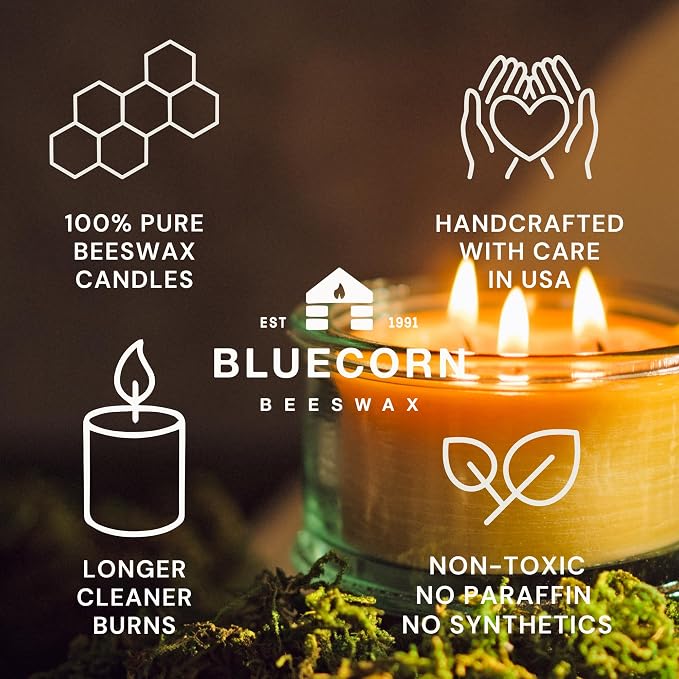 Bluecorn Botanica Beeswax 3-Wick Candle – Spruce, 100% Pure Beeswax & Essential Oils – 10oz Hand-Blown Recycled Spanish Glass – Non Toxic, Clean Burning, Refillable Glass Jar