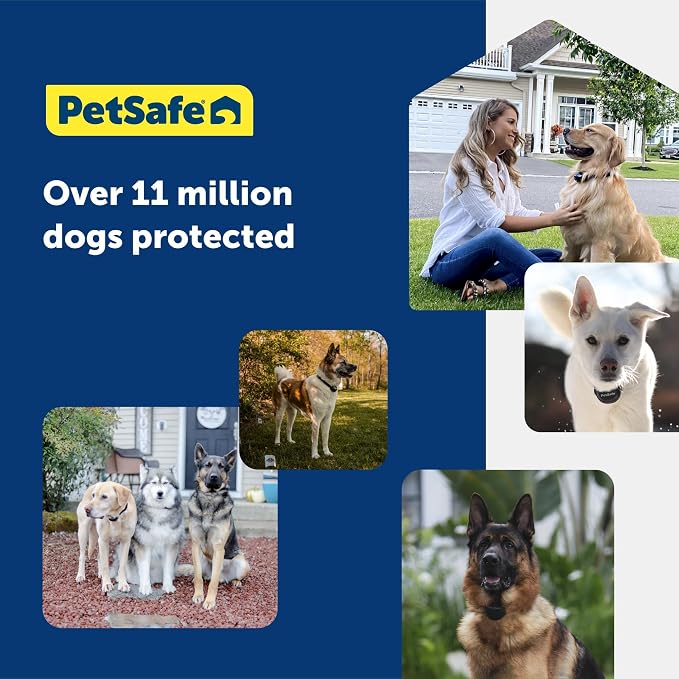 PetSafe Basic In-Ground Fence, Up to 1/3 Acre