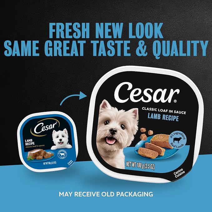 Cesar Classic Loaf in Sauce Wet Dog Food, Lamb Recipe, 3.5 oz, 24 Count | Made in USA, Real lamb #1 ingredient, no fillers, no added sugar, no artificial flavors, slow-cooked, easy peel trays