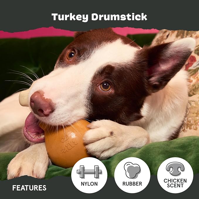 BarkBox Turkey Super Chewer - Toy for Large Dogs | Durable Dog Toy for Aggressive Chewers - Chicken Scented Chew