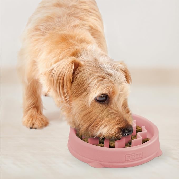 Outward Hound Fun Feeder Slo Bowl Dog Slow Feeder, Wave, Pink, 5.8"