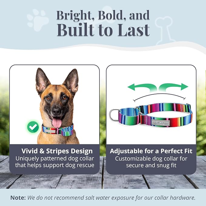 Lucky Love Dog Martingale Collar & Leash Set Cute – Nacho Color and, Large