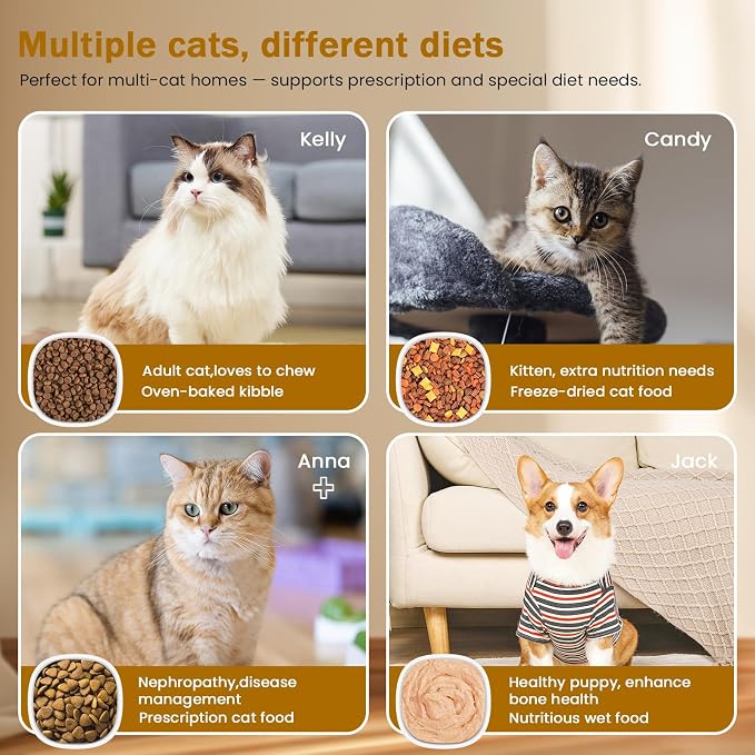RFID Cat Feeder for Multiple Cats, Stops Food Stealing, Wet & Dry Food | RFID collar tag access, helps reduce food stealing, 1.7-cup removable bowl, 2 ice packs, USB or battery power