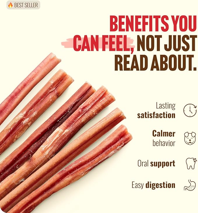 Natural Farm Odor-Free Bully Sticks (12 Inch, 12 Pack), 1.2 lbs. Per Bag, 100% Beef Pizzle Chews, Grass-Fed, Non-GMO, Fully Digestible Long Lasting Best Dental Treats to Keep Your Dogs Busy