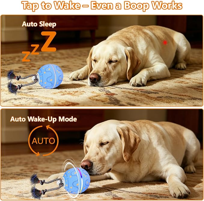 Interactive Dog Ball Toy with 2 Rope, Automatic Rolling & Bouncing Smart Dog Toy with Bird Chirping Sound and LED Light, Soft ETPU Chew-Safe Material, USB Rechargeable, for Medium & Large Dogs