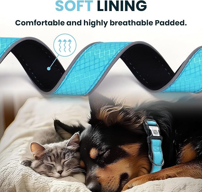 Reflective Dog Collar for Small Dogs,Personalized Dog Collar with Online Profile, Soft Neoprene Padded,Anti-Lose Function with QR Code Tag System,Blue S