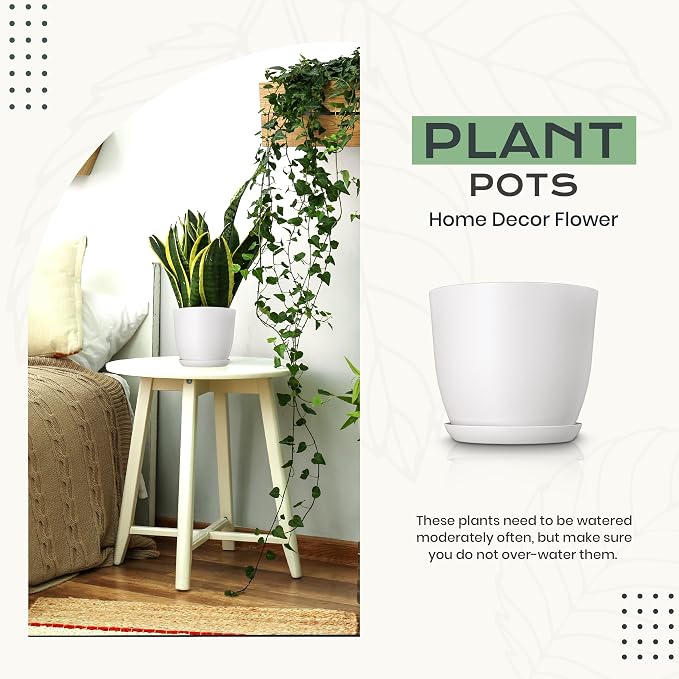 Plant Pots Indoor with Drainage, 10 Pack Multi-Size Planters Set, Grey | Drainage holes included Multiple sizes 7/6.6/6/5.3/4.8 In Indoor plants and flowers Durable plastic construction