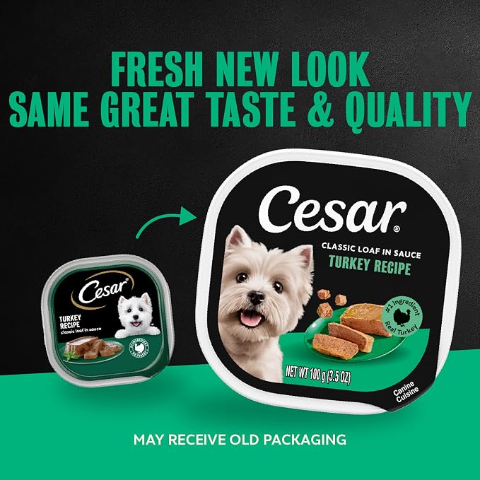 Cesar Classic Loaf in Sauce Wet Dog Food, Turkey Recipe, 3.5 oz, 24 Count | Made in USA, Real turkey #1 ingredient, no fillers, no added sugar, no artificial flavors, slow-cooked, easy peel trays