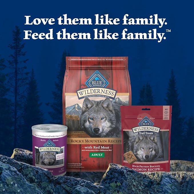 Blue Buffalo Wilderness Salmon Crunchy Dog Biscuits, Grain-Free, 10 oz | Real Salmon #1 Ingredient, Crunchy Biscuits, High Protein Nutrition, No Artificial Preservatives