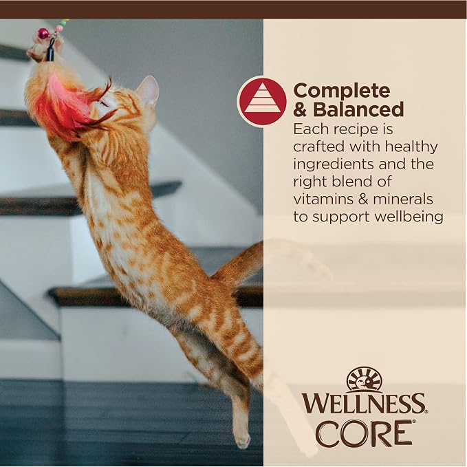 Wellness CORE Tiny Tasters Minced Adult Wet Cat Food, Natural, Protein Rich, Grain Free, Chicken and Beef Recipe, 1.75 oz, Pack of 12 Pouches