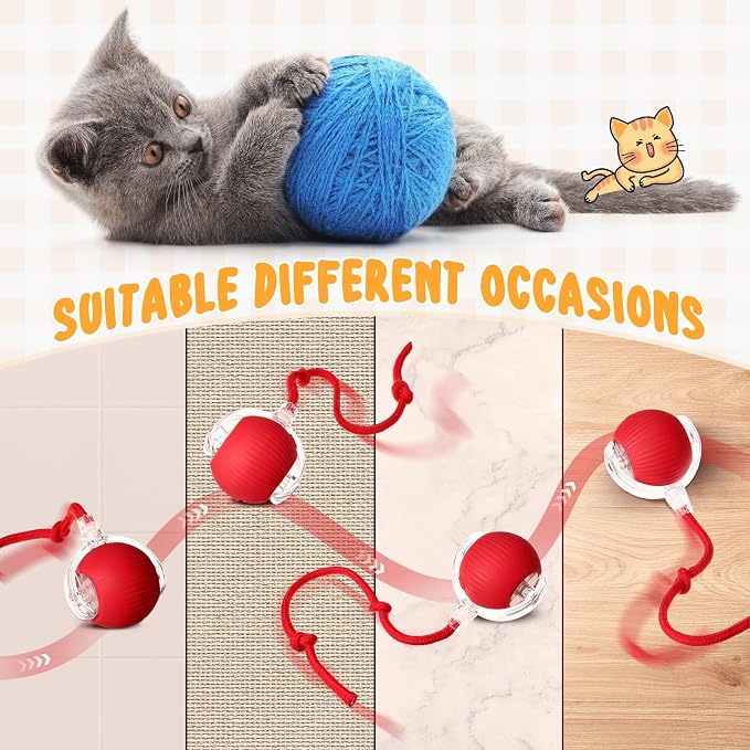 WinnerWhy 6 Pack Interactive Cat Ball Toy 360° Automatic New Interactive Rolling Ball Rechargeable Gifts for Cat Dog Lovers Indoor Exercise Electric Self Rolling Toy Large and Small Puppy Kitten Bulk