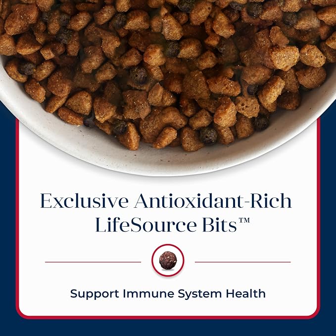 Blue Buffalo Basics Salmon Adult Skin & Stomach Care Dry Dog Food, 24 lb | Real Salmon #1 Ingredient, Limited Ingredient Diet, Antioxidant-Rich LifeSource Bits, Skin & Coat Health