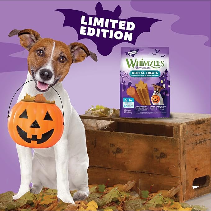 Wellness WHIMZEES Fall Natural Dog Dental Treat, Autumn Halloween Chews, Freshens Breath, Small Size, 6.3 oz Bag, 12 Count