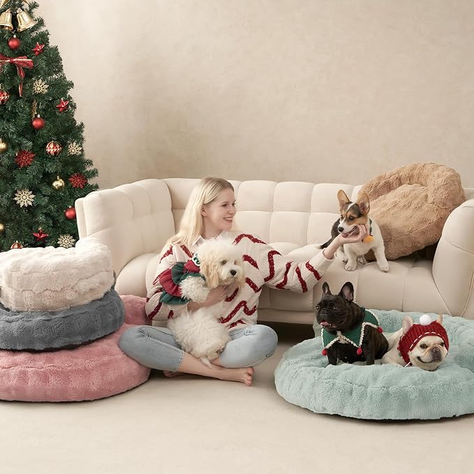 EHEYCIGA Soft Cat Couch Bed for Indoor Cats, Fluffy Small Dog Bed with Removable Washable Cover, Bolster Pet Sofa, Waterproof and Non-Slip, 24" x 24"x 7", Cream