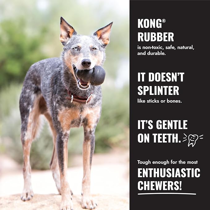 KONG Extreme Goodie Bone, Natural Rubber, Black, for Extra Large Dogs