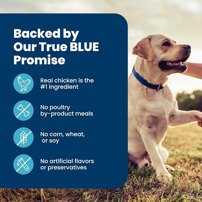 Blue Buffalo Life Protection Formula Chicken Senior 7+ Dry Dog Food, 15 lb | Real Chicken #1 Ingredient, Glucosamine & Chondroitin for Joint Health & Mobility, Antioxidant-Rich LifeSource Bits,