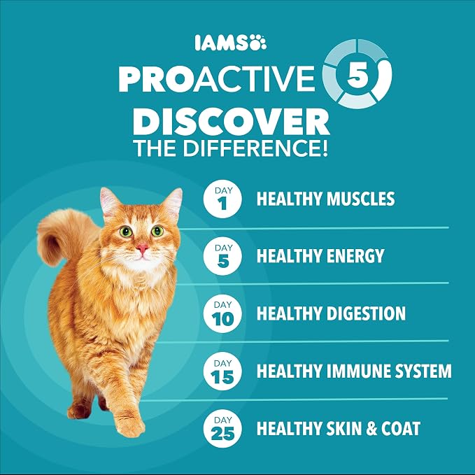IAMS Proactive Health Indoor Dry Cat Food, Chicken & Turkey, 16 lb | Vet-recommended, Real Chicken #1 Ingredient, Proprietary Fiber Blend, Prebiotics for Healthy Digestion, Hairball Control