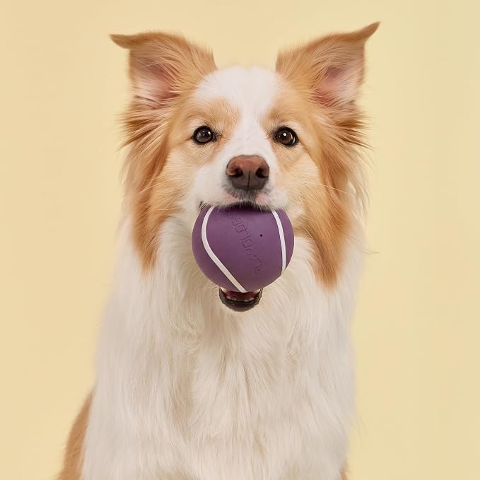 Playology Squeaky Chew Ball Dog Toy - Jumbo, Bacon Scent