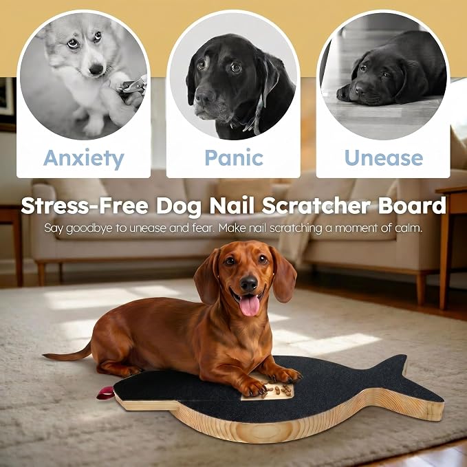 Dog Nail Scratch Board with Treat Drawer, Stress-Free Nail File for Small Medium Large Dogs, Front Paw Scratch Pad Alternative to Clippers, Replaceable Sandpaper Training Tool