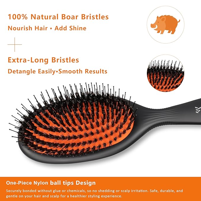 Eagle Fortress Boar Bristle Hair Brush for Women, Detangler Brush for Wet, Dry & Damaged Hair with Long Pins for Thick & Long Hair - Boar Black