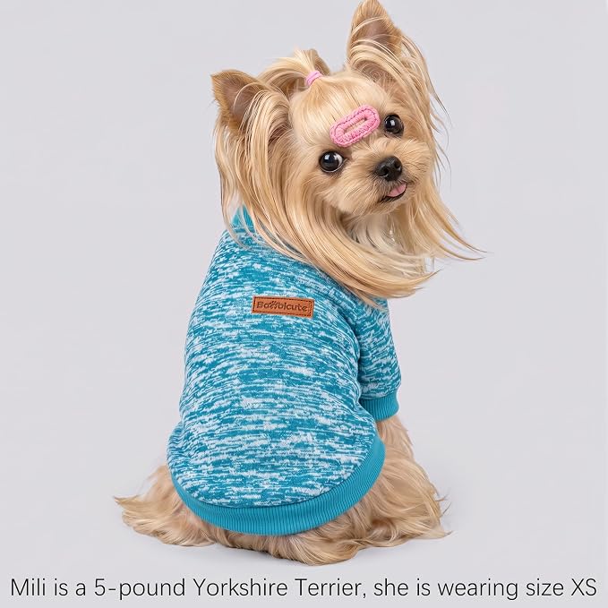 1 Pack Dog Sweaters for Small Dogs Girl Boy Winter Fleece Clothes Warm Soft Dog Sweatshirt Outfit for Dogs Cats Pet Apparel