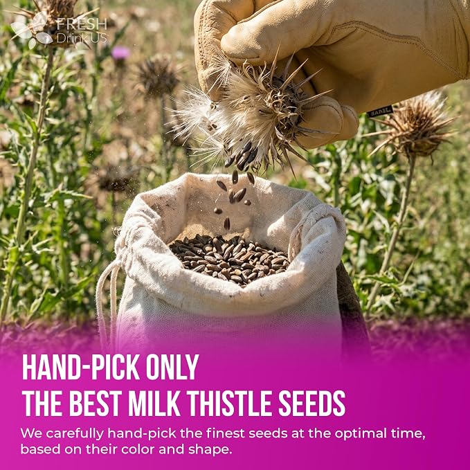 FreshDrinkUS, Premium 16oz Milk Thistle Seeds, 100% Natural & Pure, Herbal Tea, Daily Infusion Botanical, No Sugar, No Caffeine, No Gluten, Vegan. Rich in Antioxidants