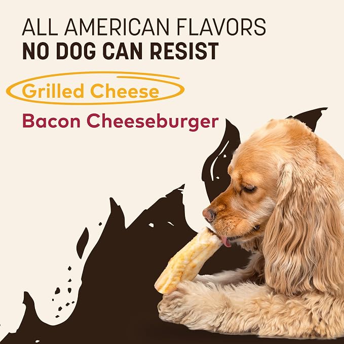 Earth Animal No Hide Dog Chews - Small Rolls 6 Count Grilled Cheese | Small Rolls Grilled Cheese Flavored Natural Rawhide Free Long Lasting Dog Chews - Pet Treats for Small Dogs
