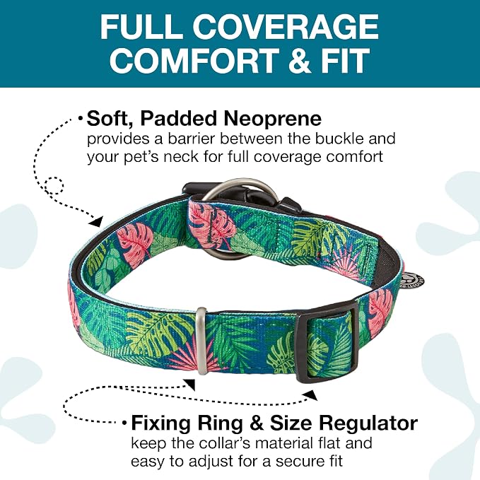 Max & Molly Smart ID Dog Collar with Gotcha! QR Safety Tag and Custom Pet Profile, Soft Padded Neoprene, Waterproof, Tropical, Small (11-18")