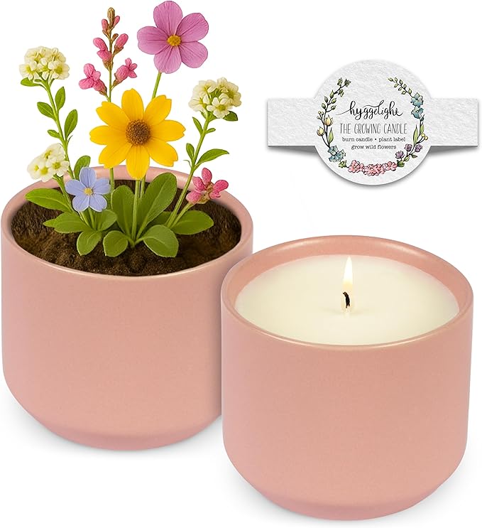 Hyggelight - The Growing Candle, Apple & Pine Scented, 8oz Ceramic Pot, Aromatherapy Candles, 100% Soy for Women and Men, Adelyn