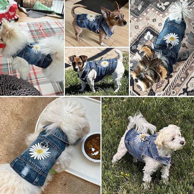 Dog Jean Jacket,Blue Denim Vest for Small Pet,Cute Clothes with D-Ring | Soft Washed Cotton Denim Costume,Cool Apparel Dress Shirt for Puppy,Classic Daisy Coat Outfit for Small Dogs Cats Boy Girl