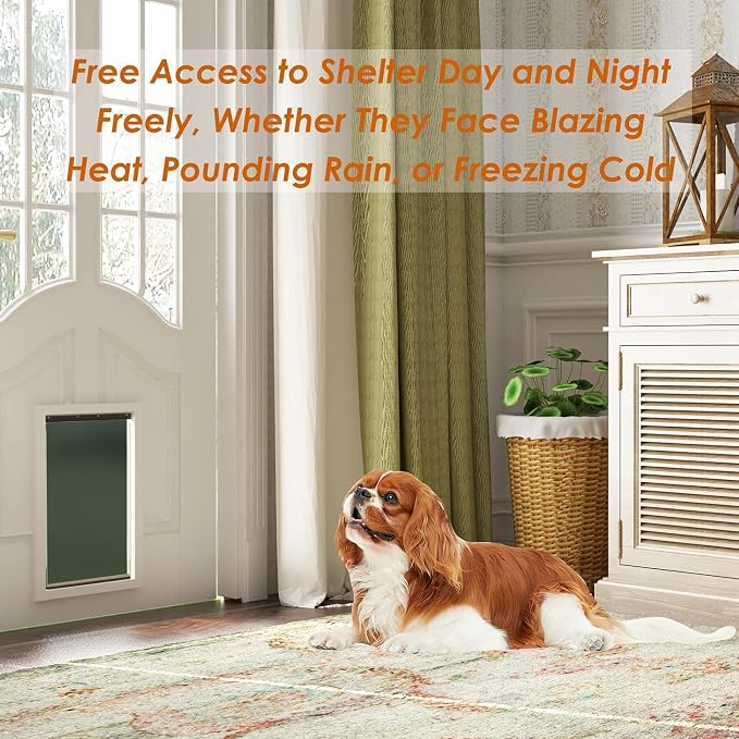 MIAOTONG 2 Pack Weatherproof Medium Dog Door Replacement Flaps with Screws | Pet Door Replacement Flap Compatible with PetSafe Freedom PAC11-11038,Measures 13 1/8”x 24 7/8”, Weather-Proof & No Warped