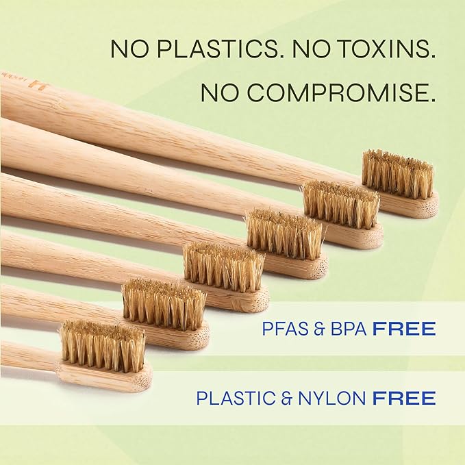 Hugging Tree Boar Bristle Bamboo Toothbrush, Made from Natural Boar Hair Bristles, Plastic-Free (Pack of 6)