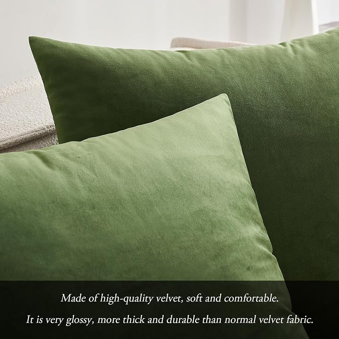 MIULEE 24x24 Inch Euro Velvet Throw Pillow Cover Set of 1 Moss Green | Soft Luxury Decorative Throw Pillow Cover, Single Cushion Case, Home Decor for Chair Couch Sofa Bedroom Car Bed