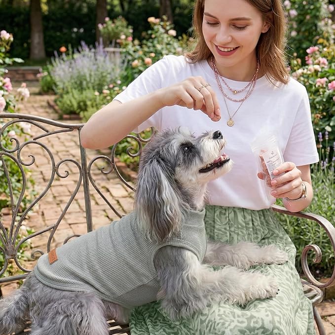 3Pack Dog Shirts Lightweight Waffle Dog Shirt for Small Dogs Sleeveless Dog Shirt for Small Medium Boy Girl Dogs Cozy & Breathable Pet Vest