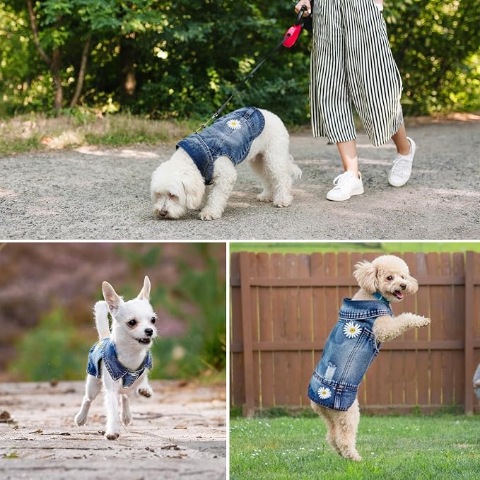 Dog Denim Jacket, Daisy Embroidery for Small Dogs, XXL, Chest 19-20.5 in | Ripped vintage jean vest for puppies, Chihuahuas and Pugs, cotton-blend outfits for spring summer fall festival and daily