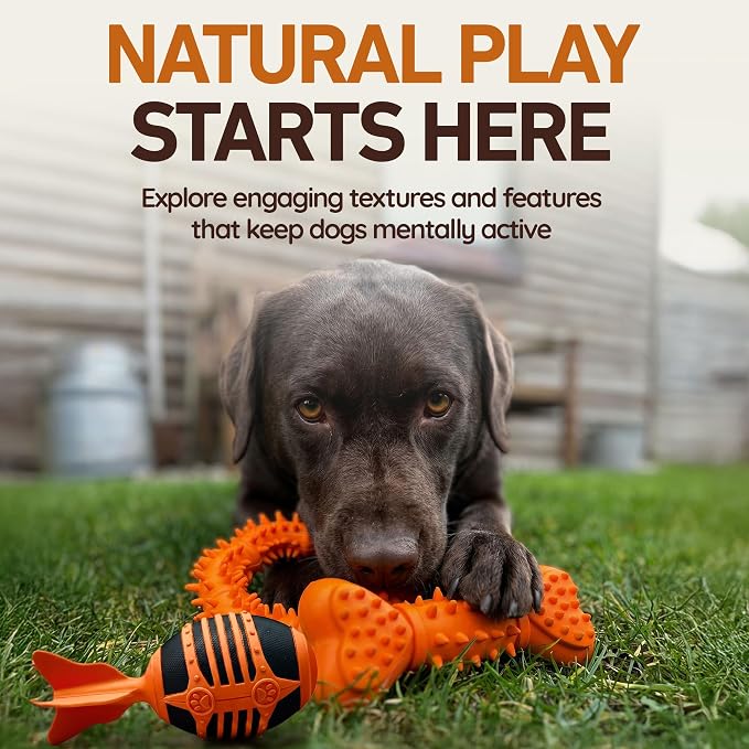 Wildfang® Rubber Dog Toys for Aggressive Chewers, Raya - Natural Rubber Dog Toy Snacker, Supports Dental Health, Teething, Outdoor & Indoor Play Dog Toy for All Breeds