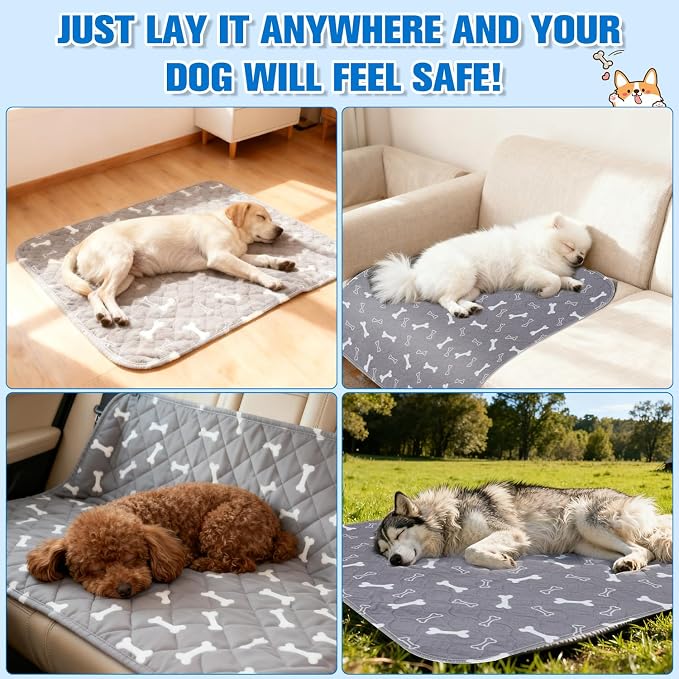 Pee Mats with Pheromones, Durable Leak-Proof & Anti-Slip Pet Training Mats for Dogs Indoor Use (Medium：16" × 24")