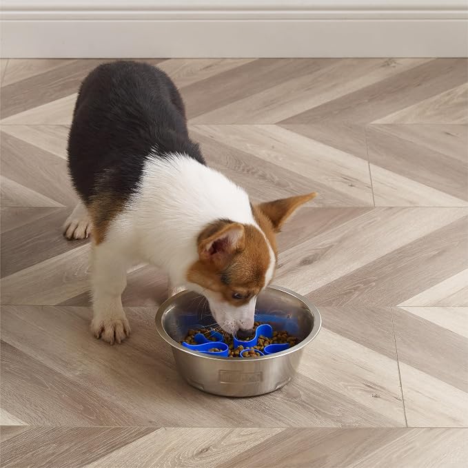 Outward Hound Fun Feeder Stainless Steel Slo Bowl for Dogs, Medium, 8.3"