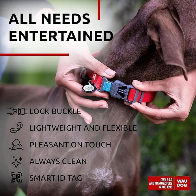 WAUDOG Waterproof Dog Collar - Adjustable Collar with Air Holder and QR Tag for Large, Small and Medium Breeds