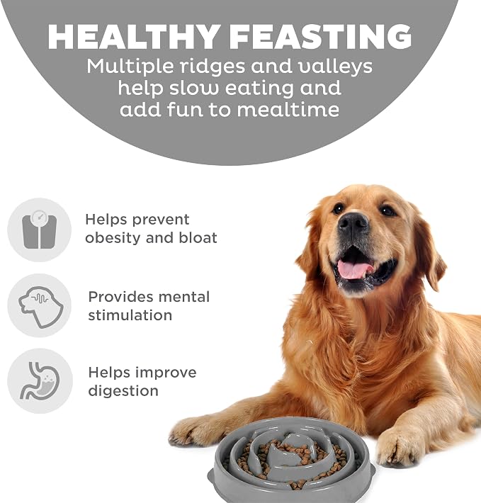 Outward Hound Fun Feeder Slo Bowl Dog Slow Feeder, Drop, Gray, 11.8"