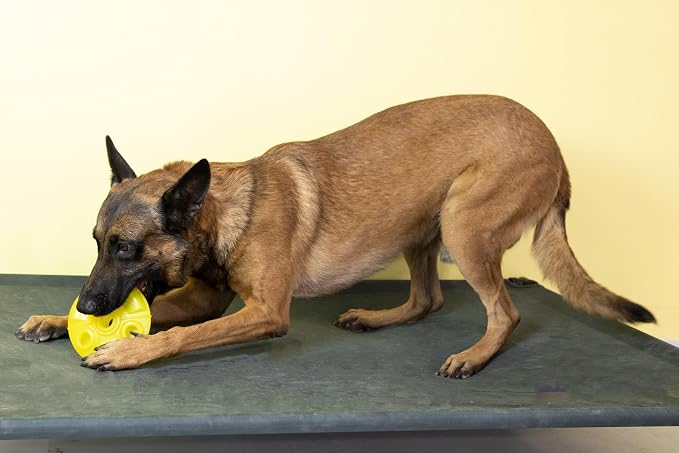 Starmark Treat Ring FlexGrip UFO Chew Toy For Large Dogs over 40 pounds
